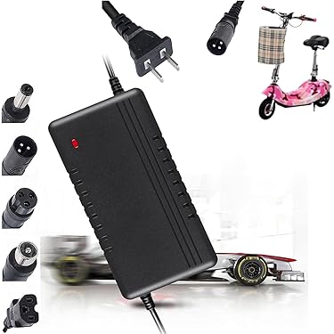 充電器付き電動ライダー Amazon.co.jp 最新リリース: バイク用バッテリー充電器 の新着